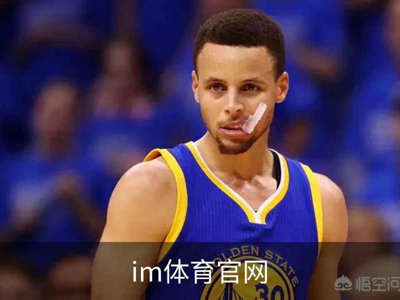 im体育官网介绍